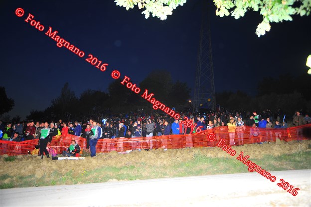 DSC_9290.JPG